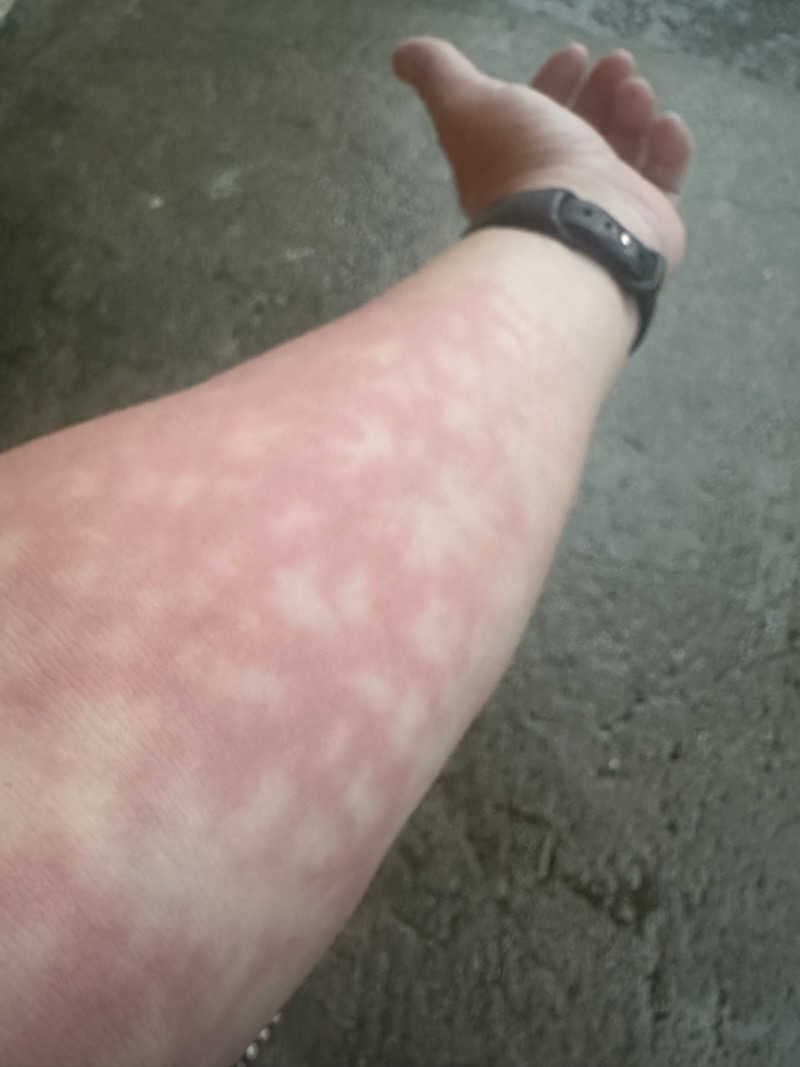 サウナリアンさんのしずの湯 相模原のサ活写真