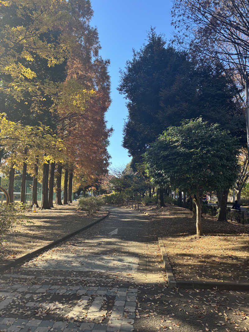 ライトさんの朝霞サウナ 和(なごみ)のサ活写真