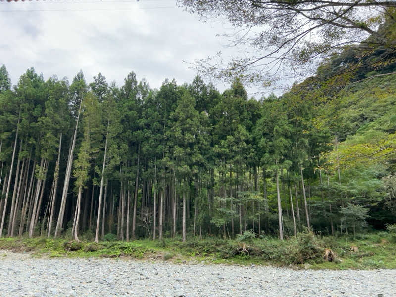 みーこさんのサウナ天竜のサ活写真