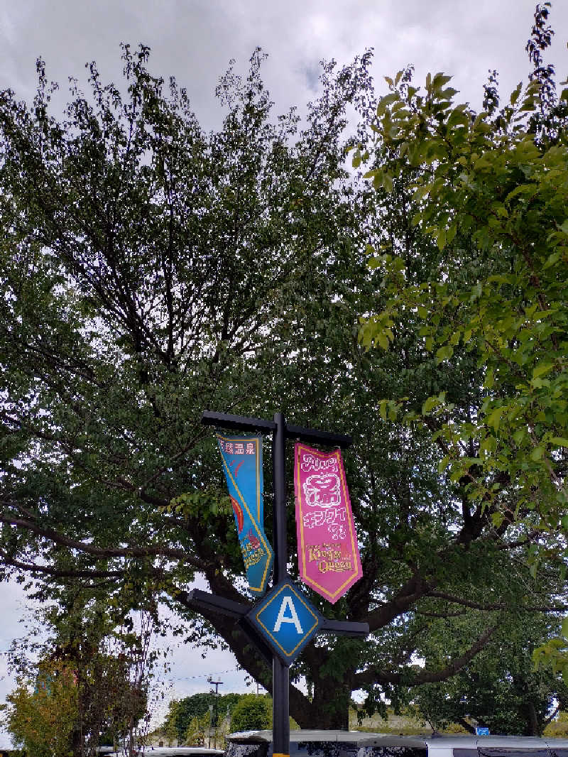 ごんこちゃんさんの温泉バルコニー キング&クイーンのサ活写真