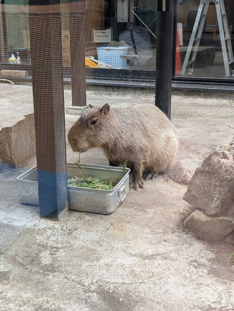 水分補給は瓶コーラ3さんの石狩天然温泉 番屋の湯のサ活写真
