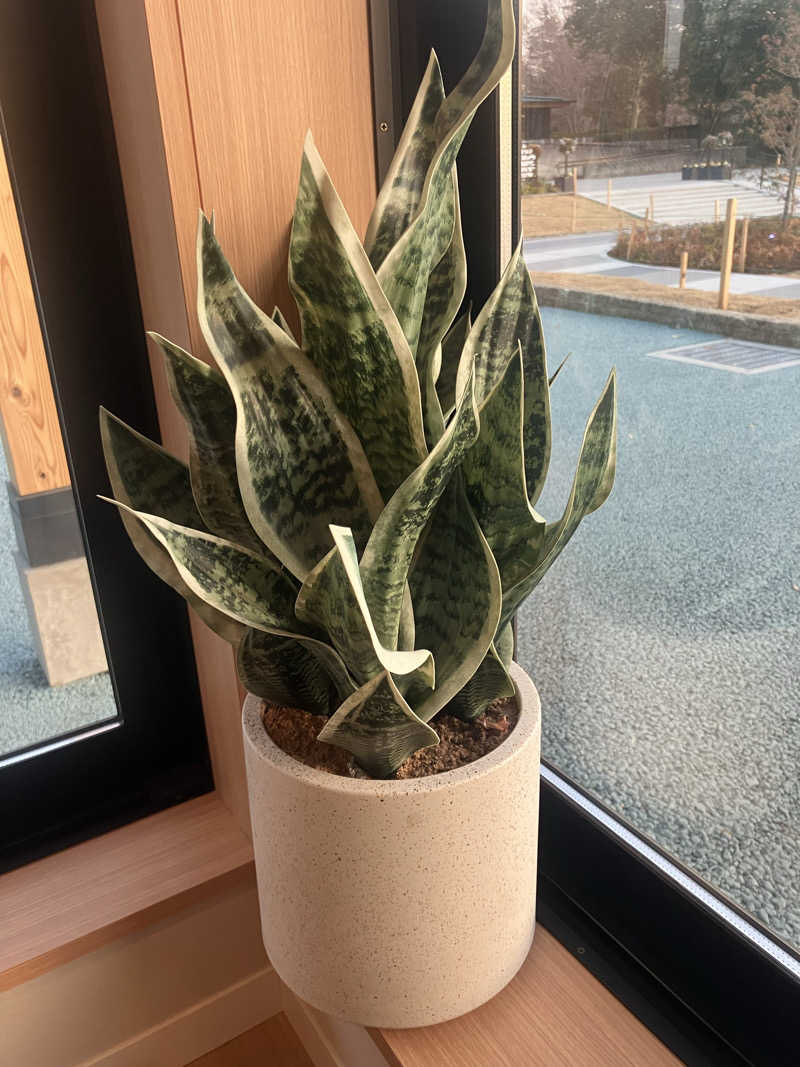 tar.さんのおふろcafé りんねの湯のサ活写真