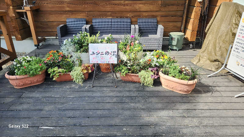 もふもふえんさんのユンニの湯のサ活写真