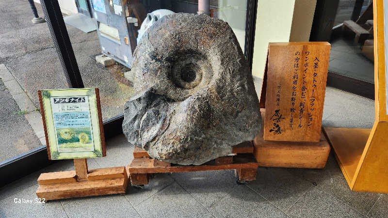 もふもふえんさんの三笠天然温泉 太古の湯のサ活写真