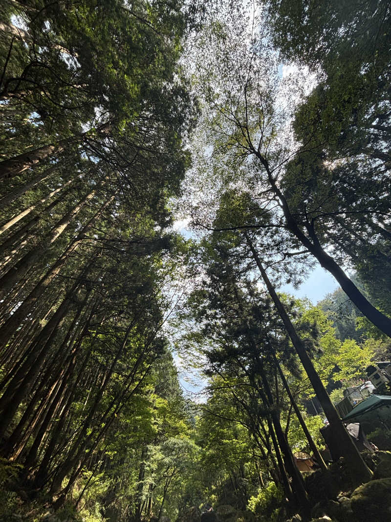 ようさんの奥茶屋キャンプ場 関東 川サウナ 奥多摩 テントサウナのサ活写真