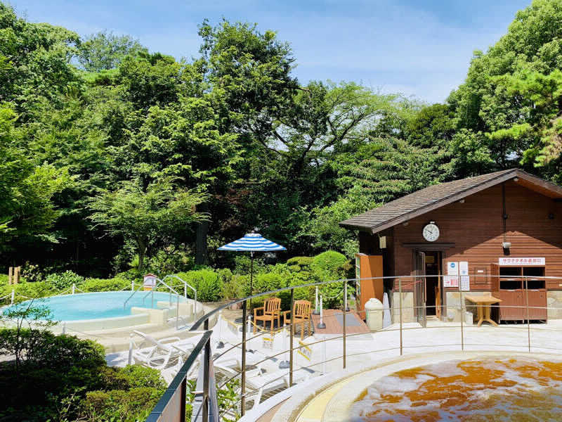 智Ｐさんの豊島園 庭の湯のサ活写真