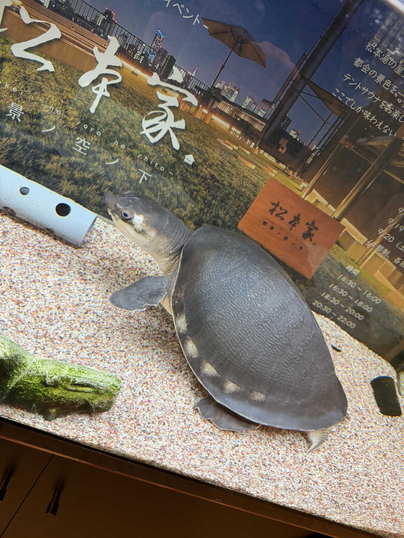 KOBAKEEEEEI✯さんの松本湯のサ活写真
