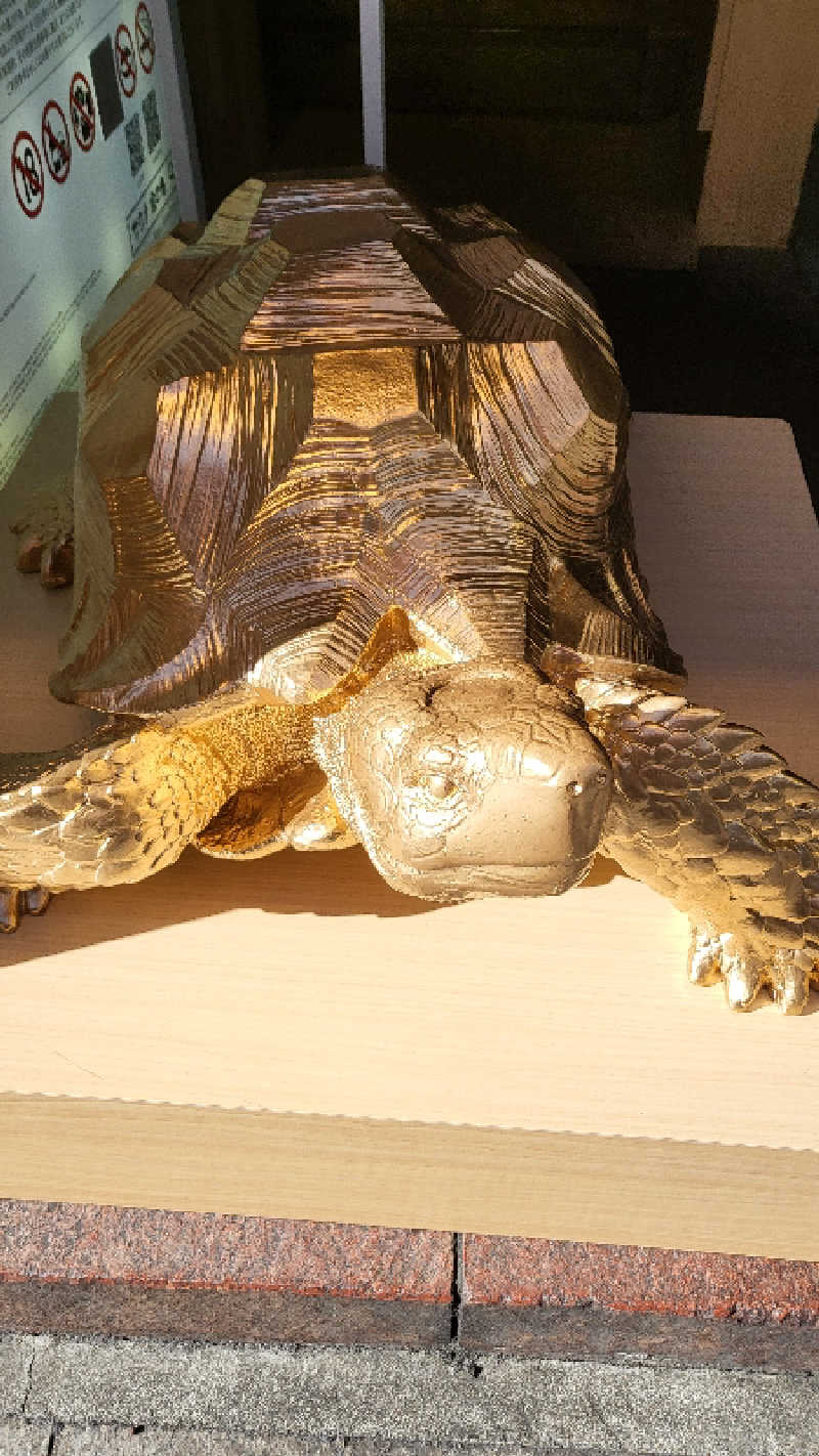 スーズさんの生姜サウナ 金の亀のサ活写真