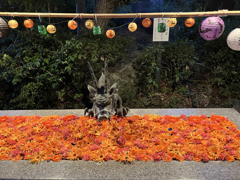 ぴぴぴぴーさんのよみうりランド眺望温泉 花景の湯のサ活写真