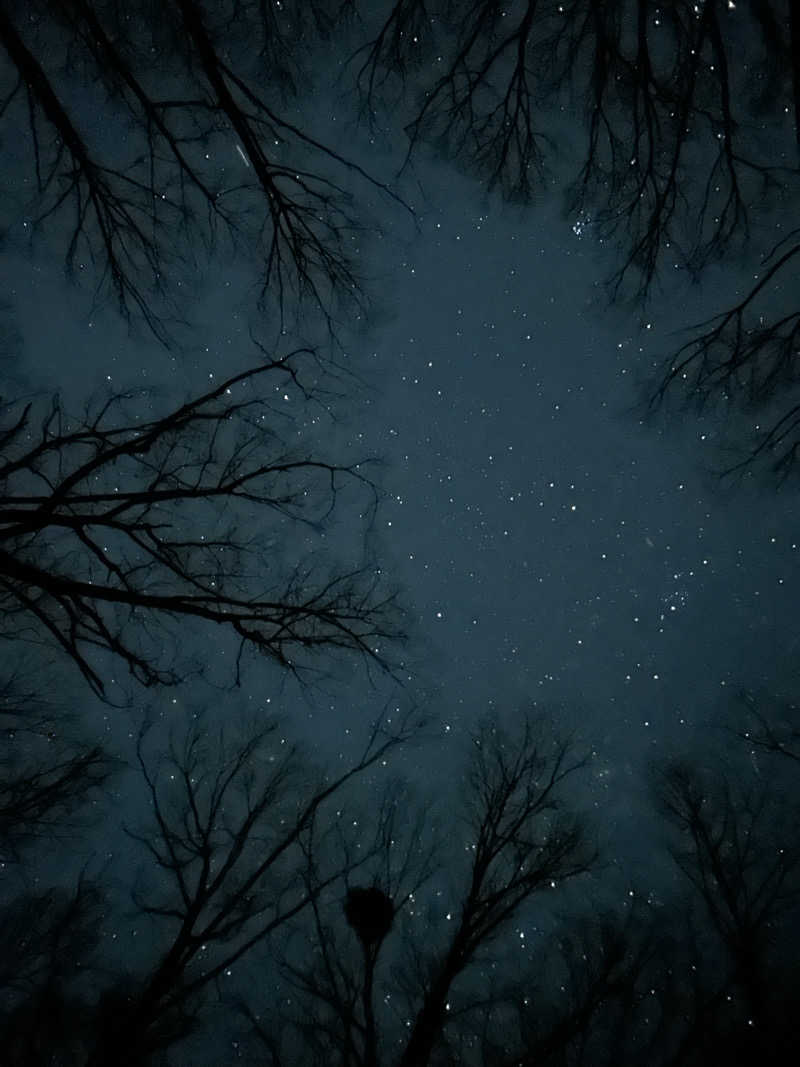 ピタゴラスさんのふとタイニー北軽井沢のサ活写真