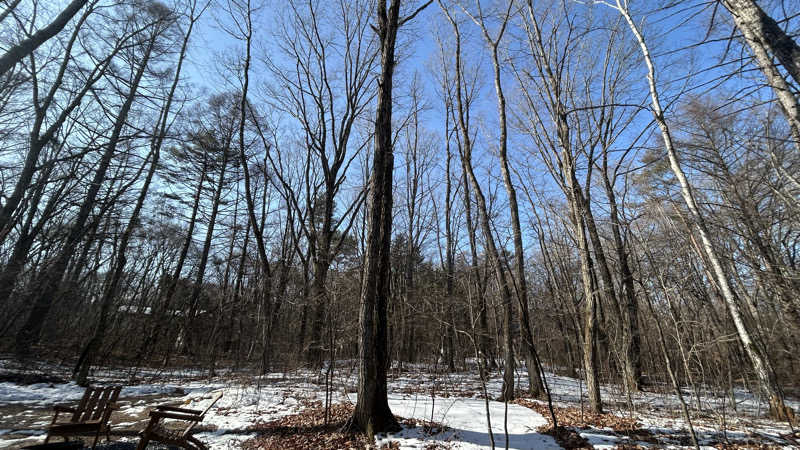 ピタゴラスさんのふとタイニー北軽井沢のサ活写真