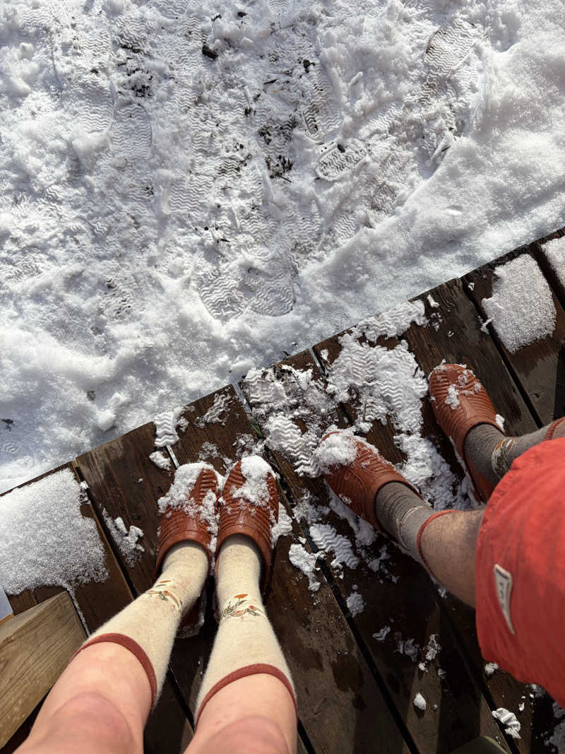 さ湯さんのThe Saunaのサ活写真