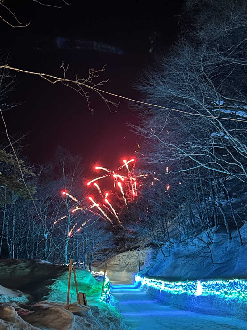 おたつさんの奥飛騨ガーデンホテル焼岳のサ活写真