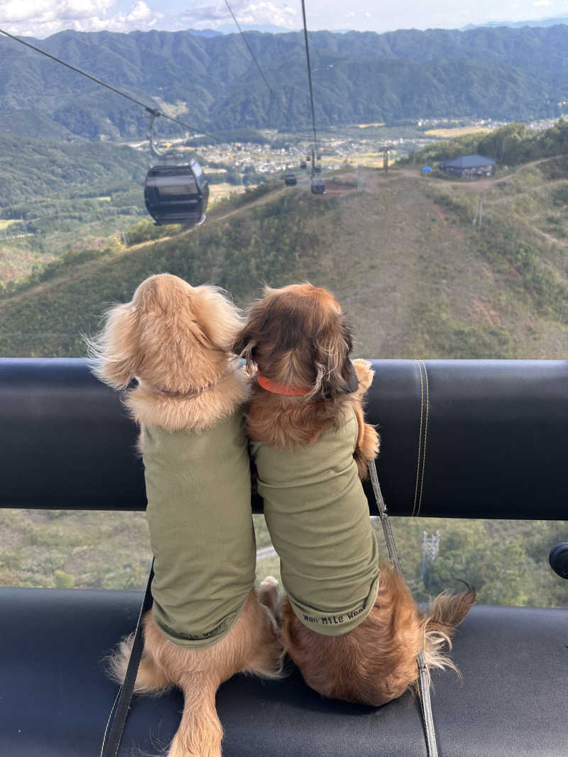 おたつさんの湯屋 FUROBAKKA(フロバッカ)のサ活写真