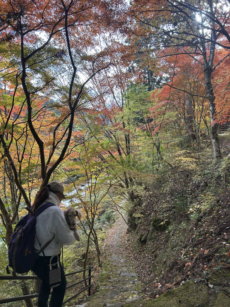 おたつさんの幸乃湯のサ活写真