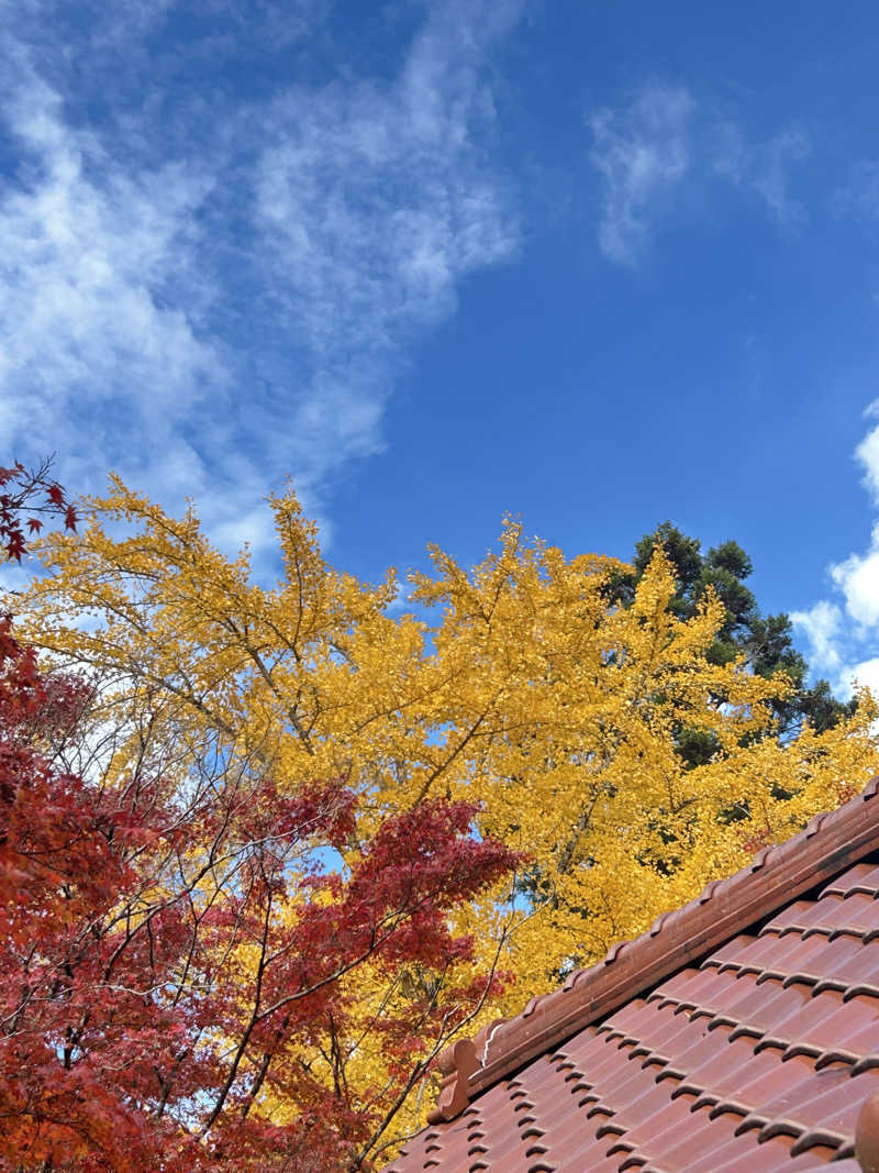 おたつさんの里山の湯のサ活写真