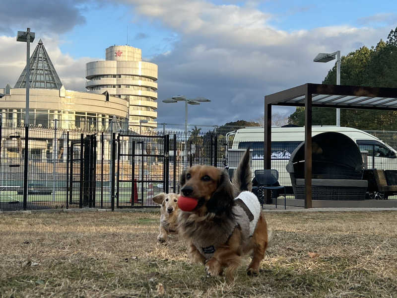 おたつさんのココパリゾートクラブ白山ヴィレッジゴルフコースのサ活写真