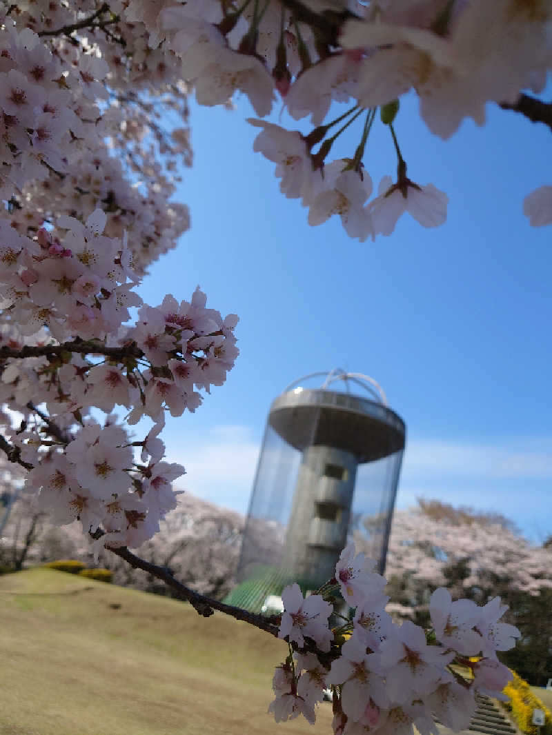 湯うこさんの国民宿舎鵜の岬のサ活写真