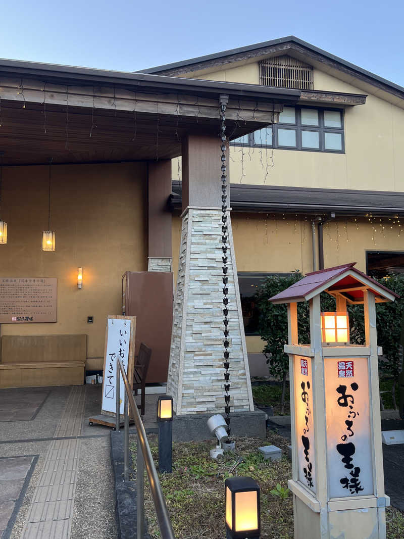 肉うどんさんのおふろの王様 花小金井店のサ活写真