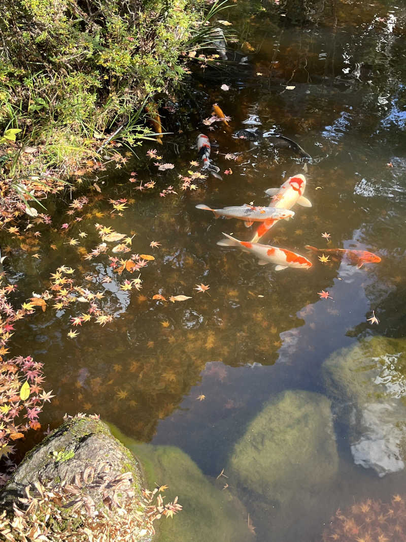 肉うどんさんのよみうりランド眺望温泉 花景の湯のサ活写真