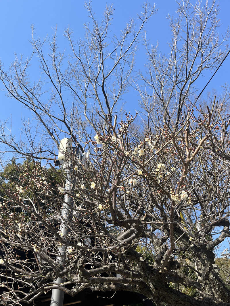 肉うどんさんのよみうりランド眺望温泉 花景の湯のサ活写真