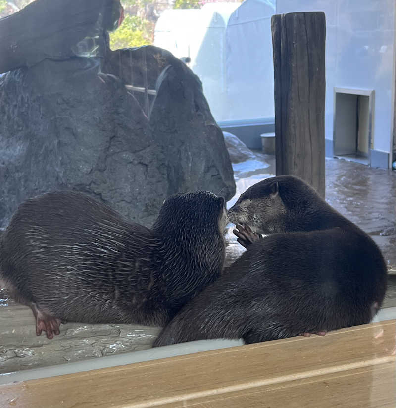 肉うどんさんのよみうりランド眺望温泉 花景の湯のサ活写真
