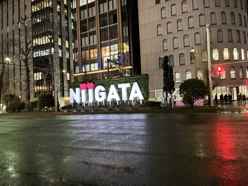 dammyさんのホテルグローバルビュー新潟のサ活写真