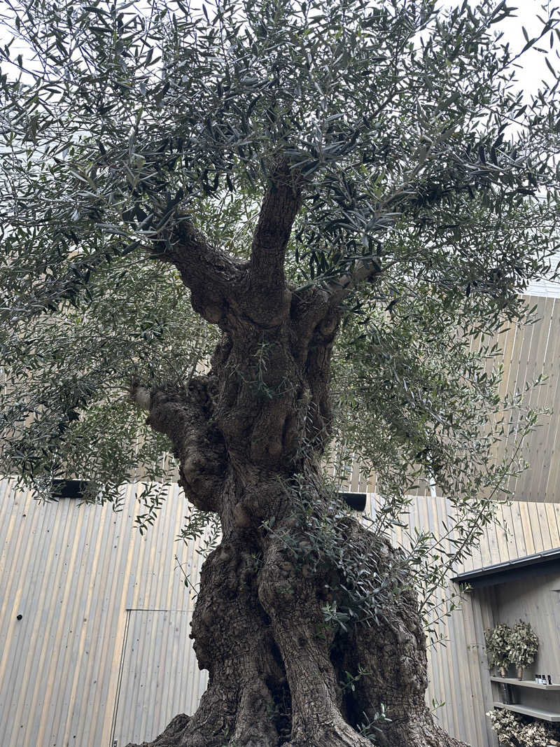 ゆさんのsauna kolme kylä (サウナ コルメ キュラ)のサ活写真