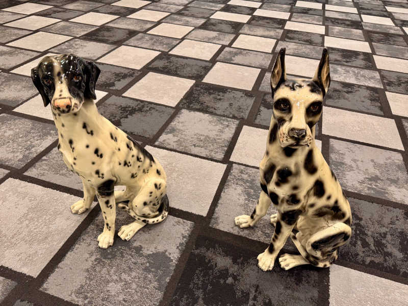 よしくん_officialさんのサウナ&カプセル フジのサ活写真