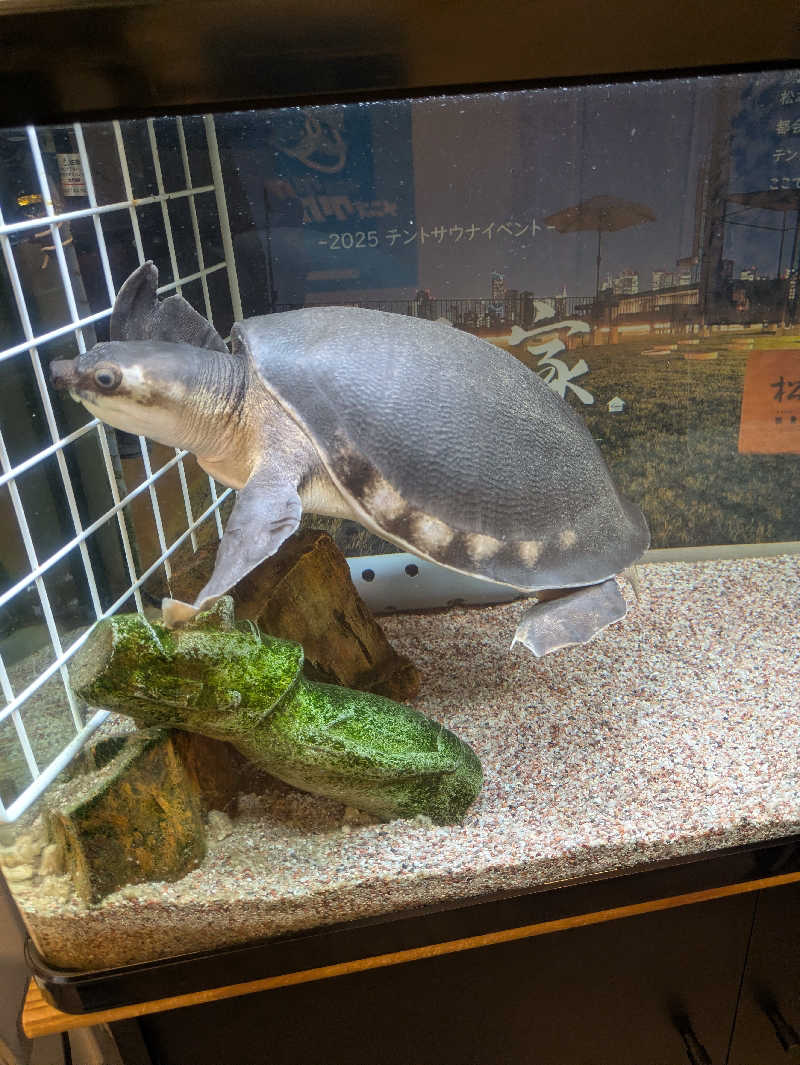 遠藤　李蹴さんの松本湯のサ活写真