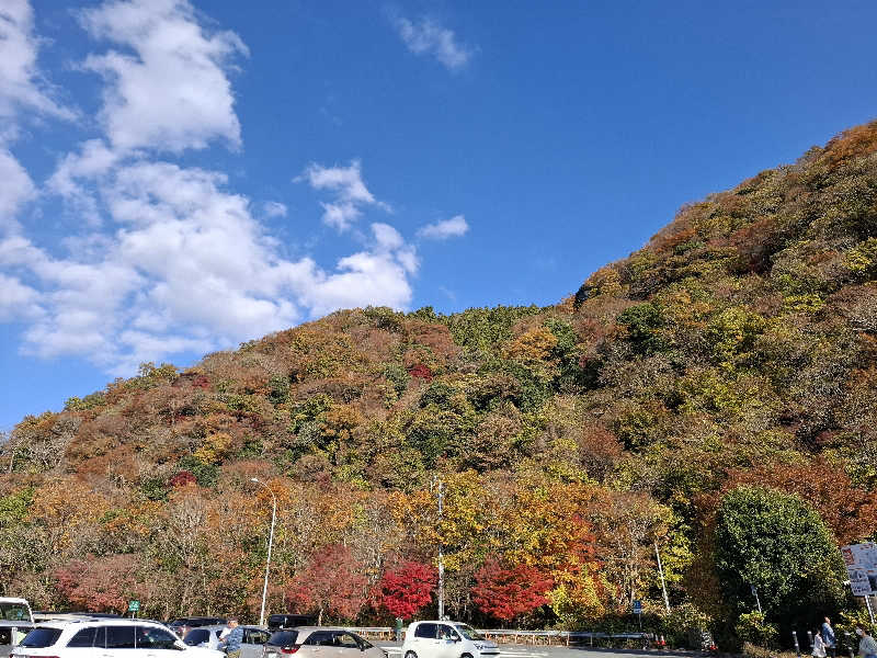 みなっちょさんのスパリゾート オアシス御殿場のサ活写真