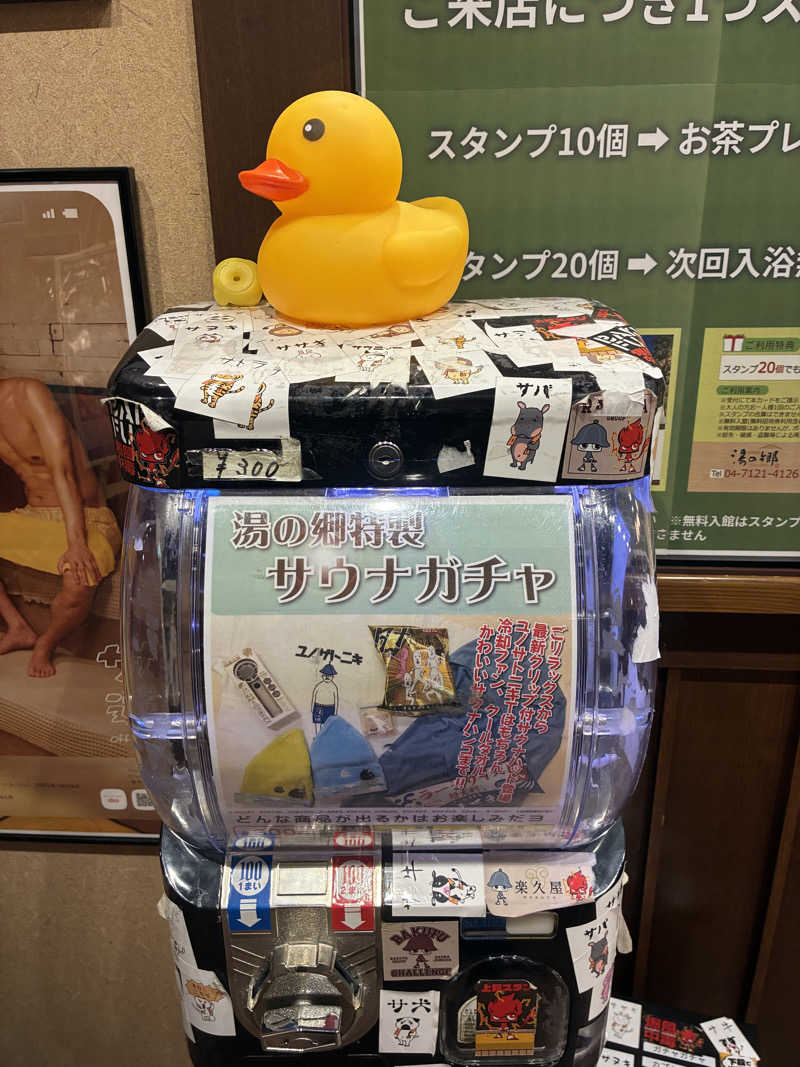 ヒンナヒンナさんの野天風呂 湯の郷のサ活写真