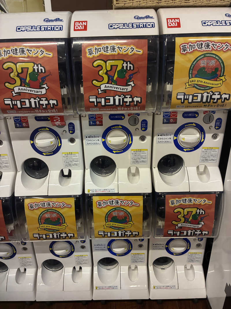 ヒンナヒンナさんの湯乃泉 草加健康センターのサ活写真