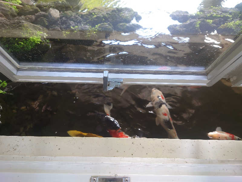 inokiさんの阿蘇白水温泉瑠璃のサ活写真