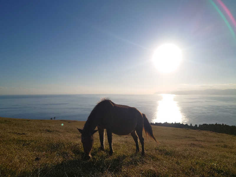 inokiさんの国民宿舎 ボルベリアダグリ 岬の湯のサ活写真