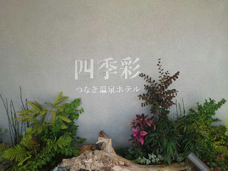 inokiさんの津奈木温泉 四季彩のサ活写真