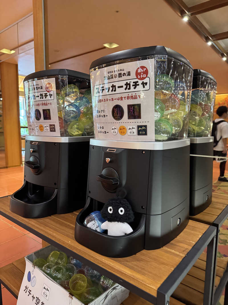 さとちゃんさんの定山渓 鹿の湯のサ活写真