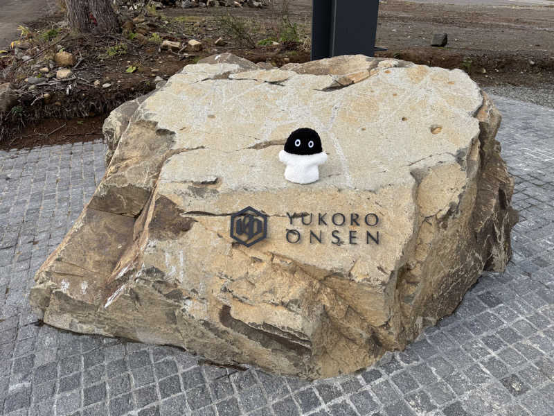 さとちゃんさんのゆころ温泉のサ活写真