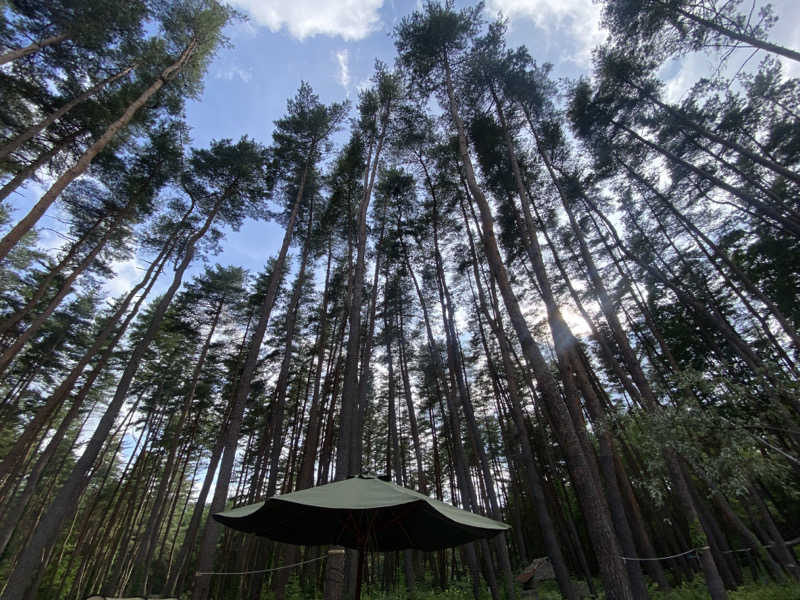蒸されさらぽん🌿さんのFOLKWOOD SAUNAのサ活写真