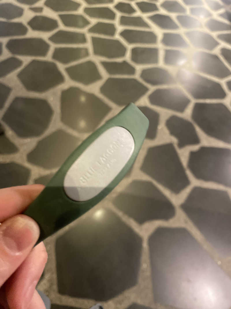 蒸されさらぽん🌿さんのBlue Lagoonのサ活写真