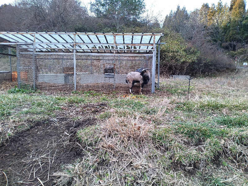 えみえみさんの熊ノ沢温泉のサ活写真
