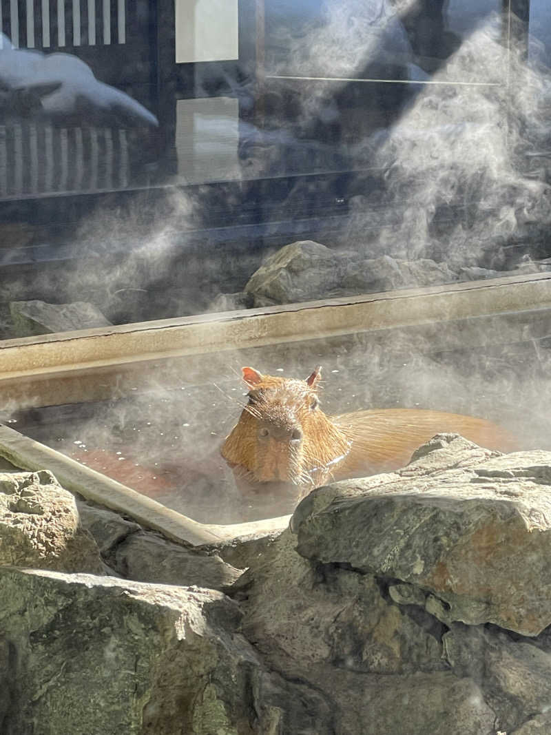 ウニャニャさんの石狩天然温泉 番屋の湯のサ活写真