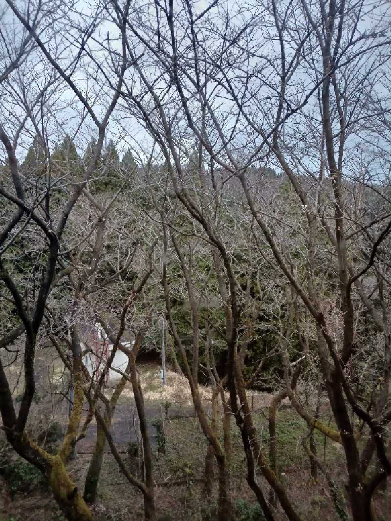 まるこーさんの牛岳温泉健康センターのサ活写真