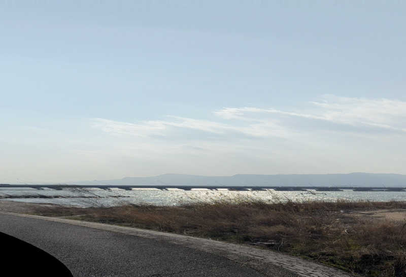 ひじきサウナさんの守山湯元水春 ピエリ守山のサ活写真