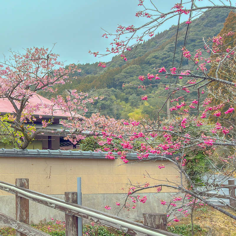 🈂️ごどんさんの姶良市温泉センターくすの湯のサ活写真