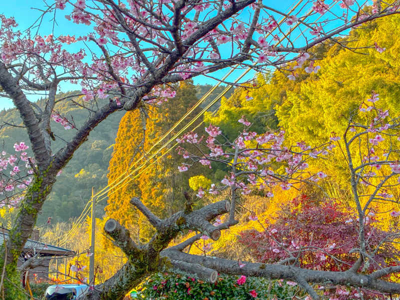 🈂️ごどんさんの姶良市温泉センターくすの湯のサ活写真