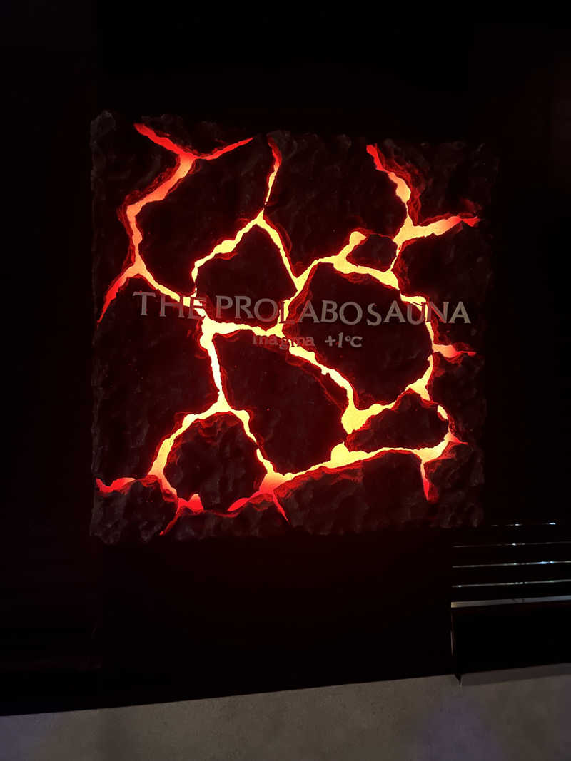 湯いちご🍓さんのTHE PROLABO SAUNAのサ活写真