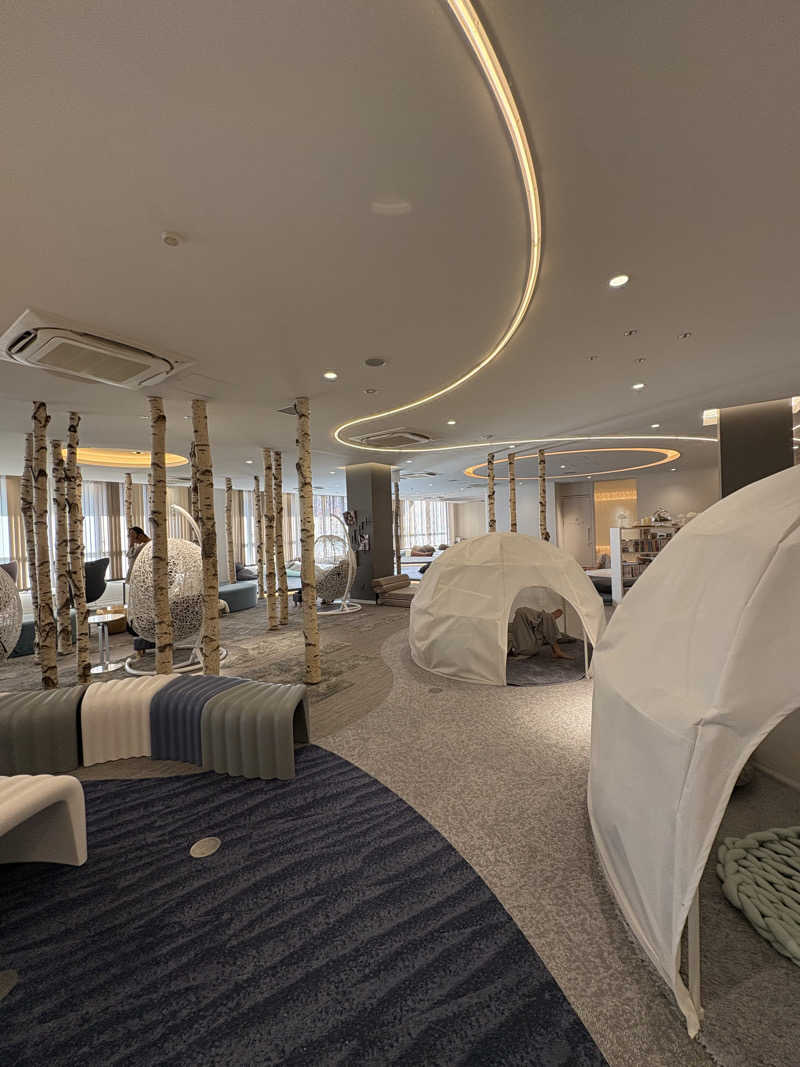 煮込みハンバーグさんのおふろの王様 和光店のサ活写真