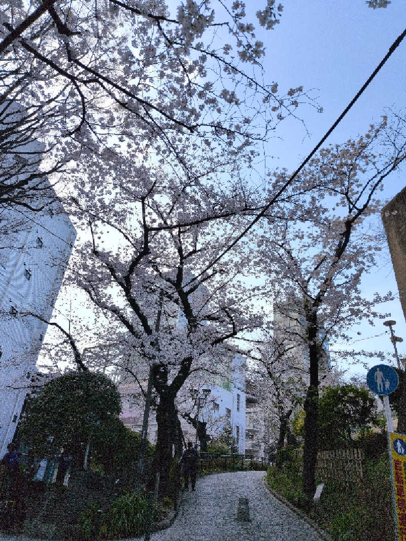らきまるさんのスゴイサウナ五反田駅前店のサ活写真