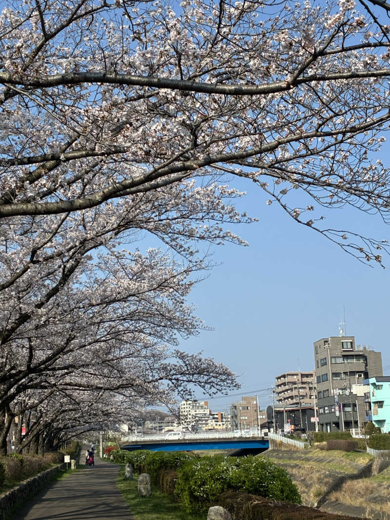 坂田 康之さんの毎日サウナ 八王子店のサ活写真